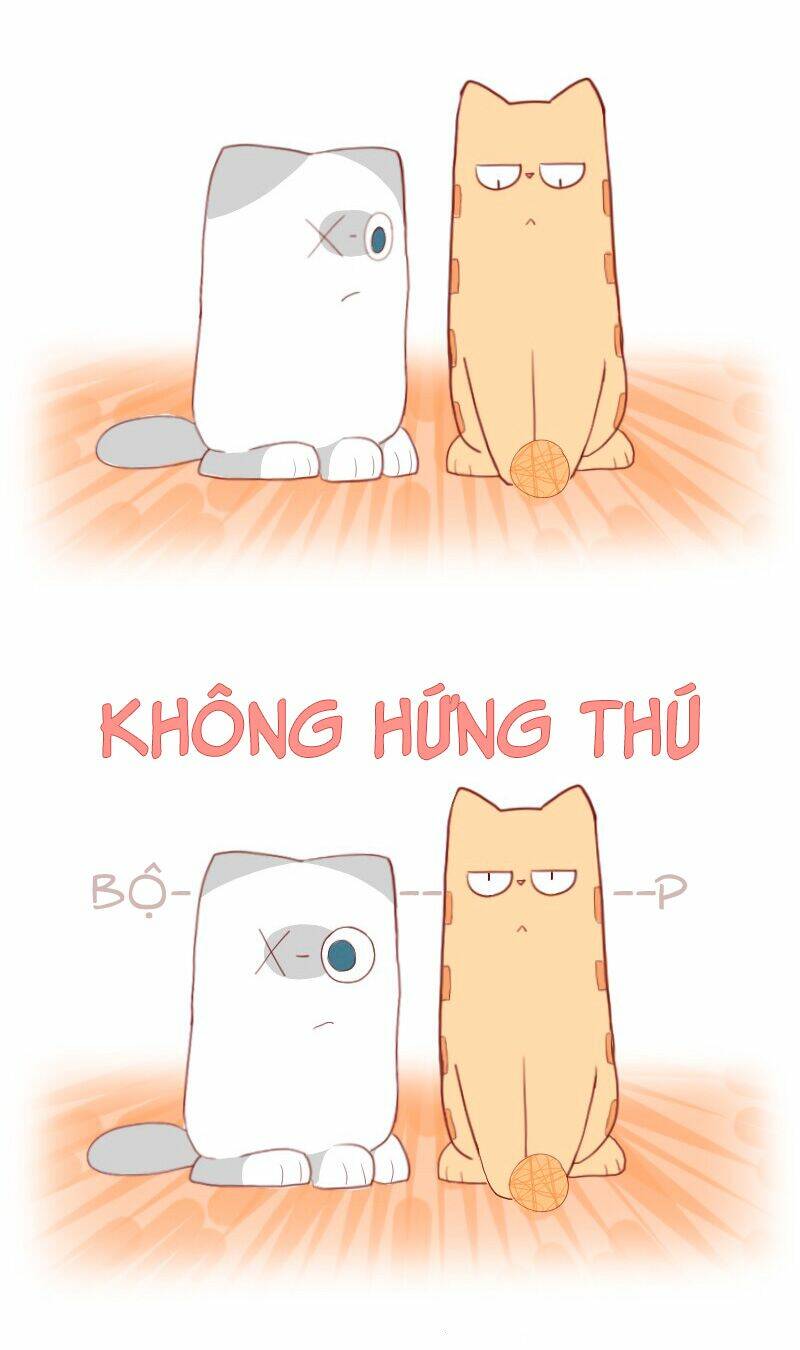 saphie: chú mèo một mắt chapter 5 9