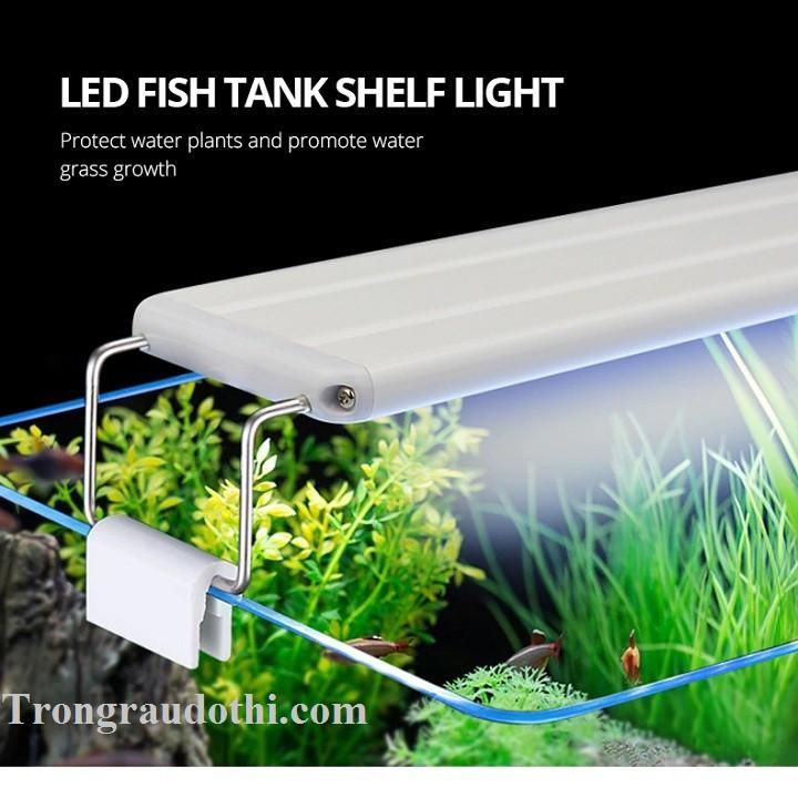 Đèn led máng K400 phù hợp cho bể 40-50cm, đèn rất sáng và thẩm mỹ đẹp
