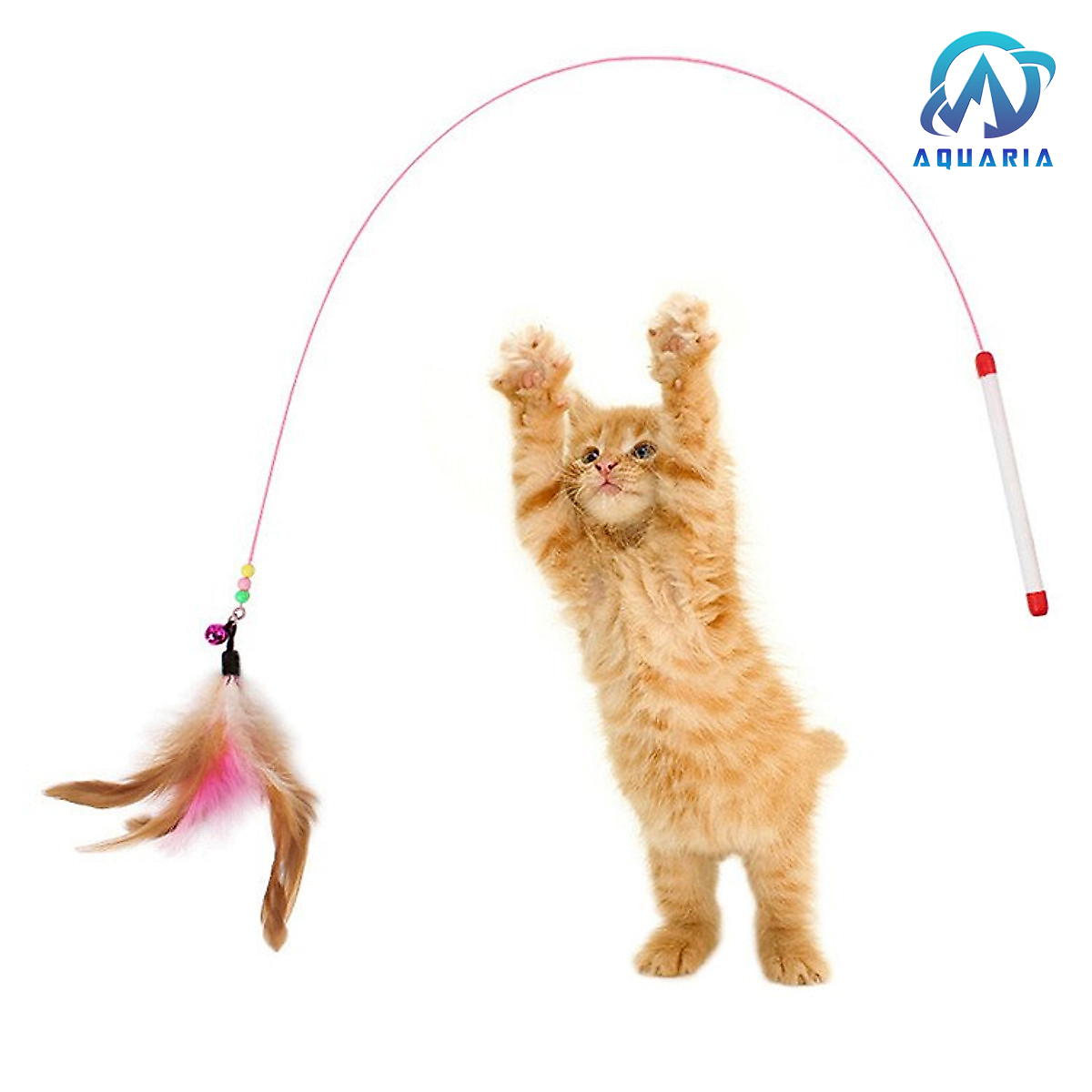 Đồ Chơi Cho Mèo Cần Câu Đùa Giỡn Với Mèo Đẹp Mắt