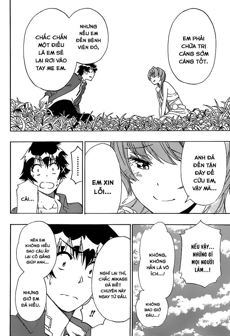 nisekoi - tình yêu giả tạo chapter 194 13