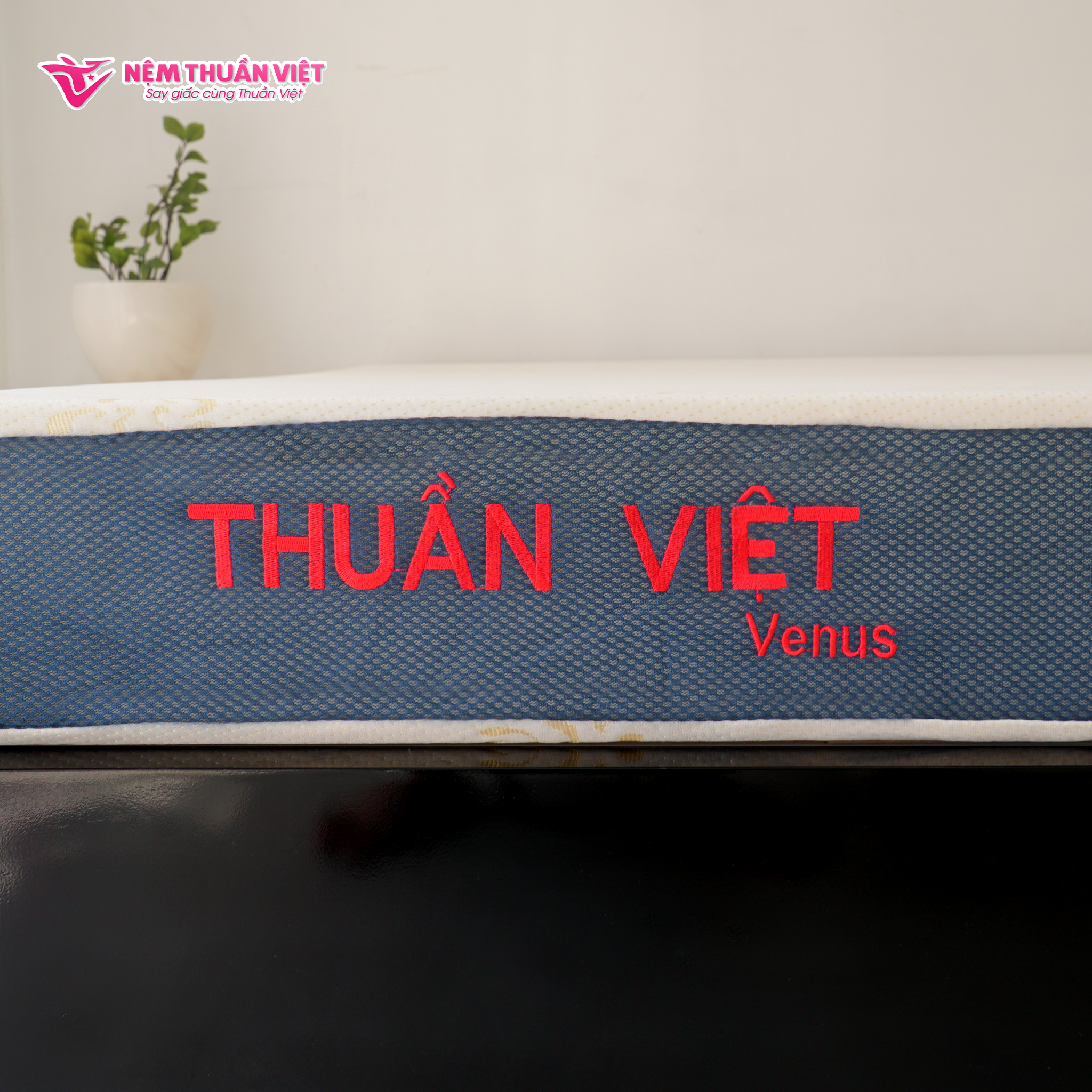 (1m8x2mx15cm) Nệm Foam Thuần Việt Venus - Nệm Ép Cuộn Thế Hệ Mới