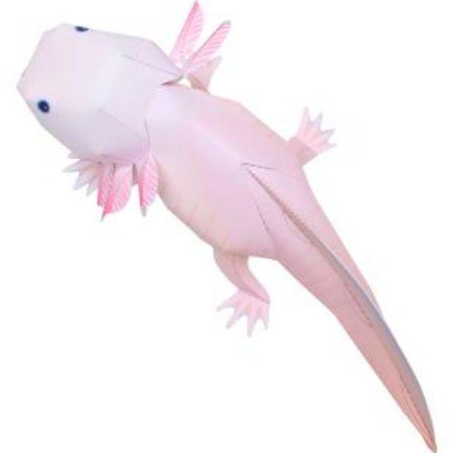 Mô hình giấy Động Vật kỳ giông Mexico (Axolotl)