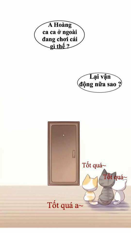 dưới móng vuốt mèo chapter 16 46