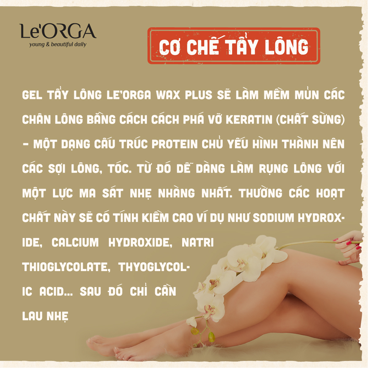 Gel tẩy lông Le’Orga Wax Plus (100ml)