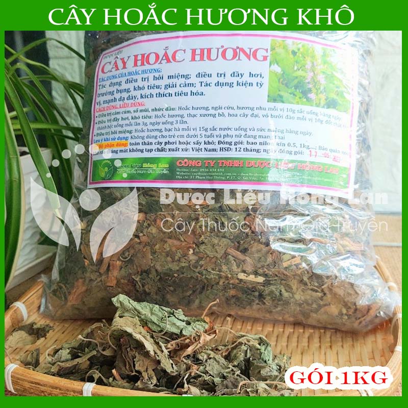 Cây hoắc hương khô sạch đóng gói 1kg