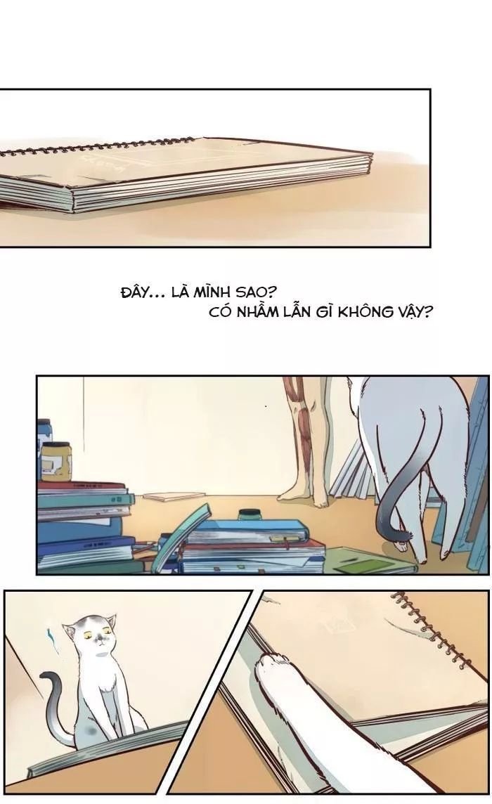 thời khắc ấy, chúng ta gặp nhau chapter 19 2