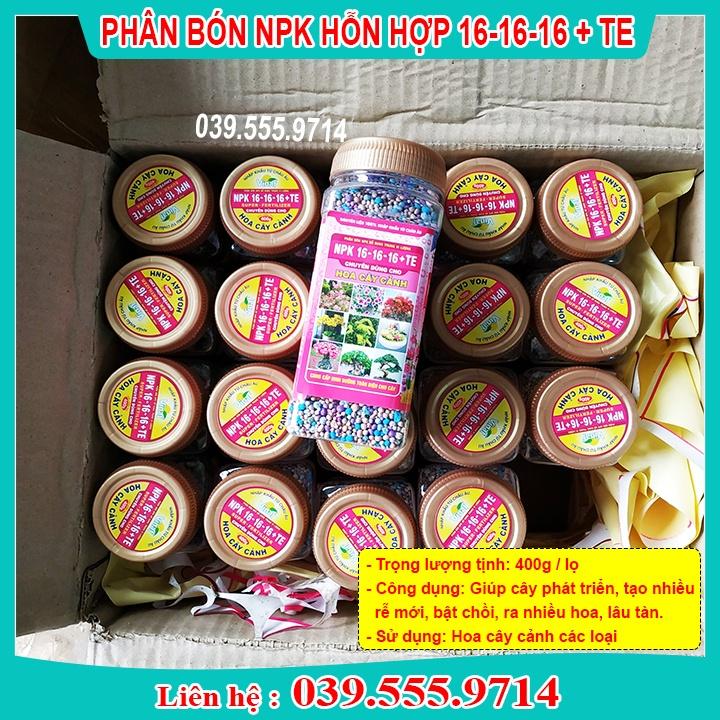 PHÂN BÓN PHÁT TRIỂN RỄ HOA LÂU TÀN MỚI 16-16-16+TE - CHUYÊN DÙNG HOA CÂY CẢNH