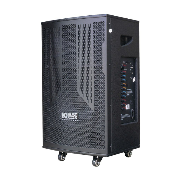 Loa kéo ACNOS Bass 30&quot;, công suất 100W CB30T550 - Hàng chính hãng
