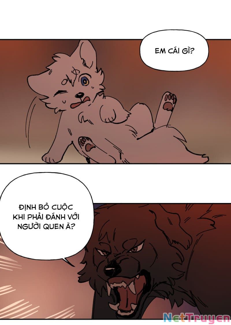 lumine - cội nguồn ánh sáng chapter 113 41