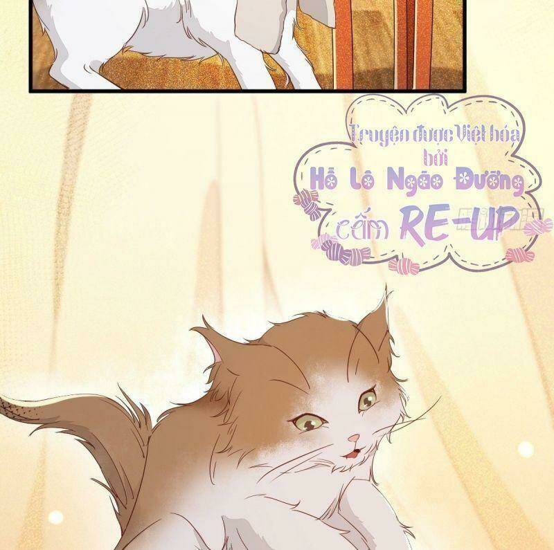 sát thủ vương phi không dễ chọc chapter 32 32