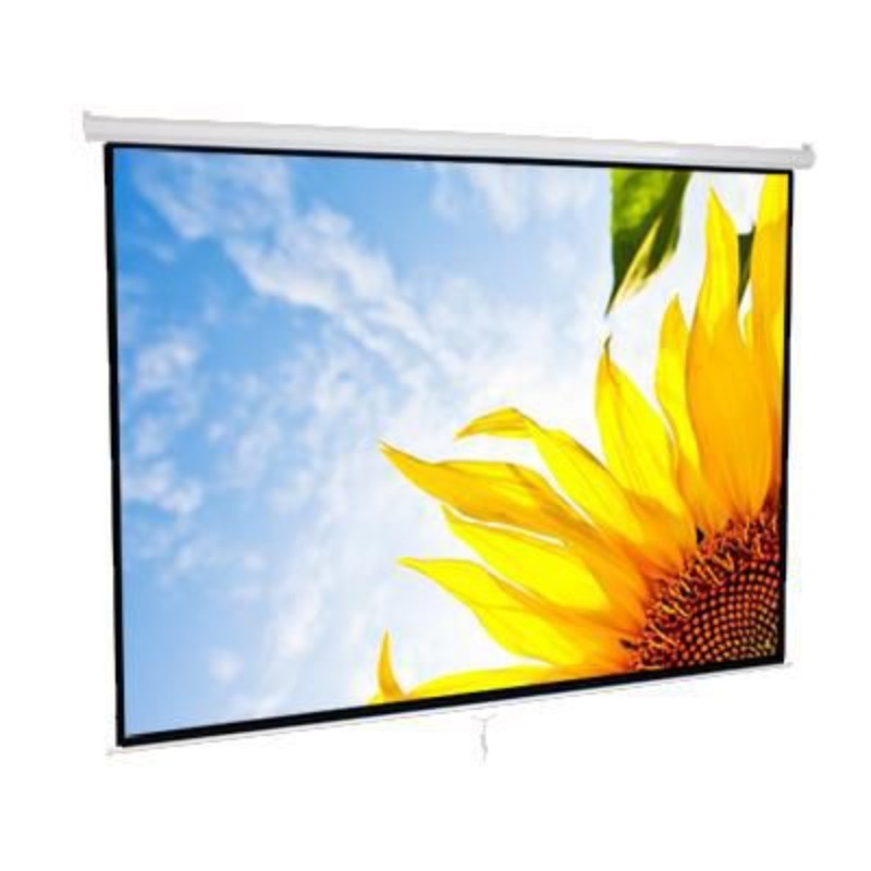 Màn chiếu treo tường Regent 120x90 - Hàng Nhập Khẩu