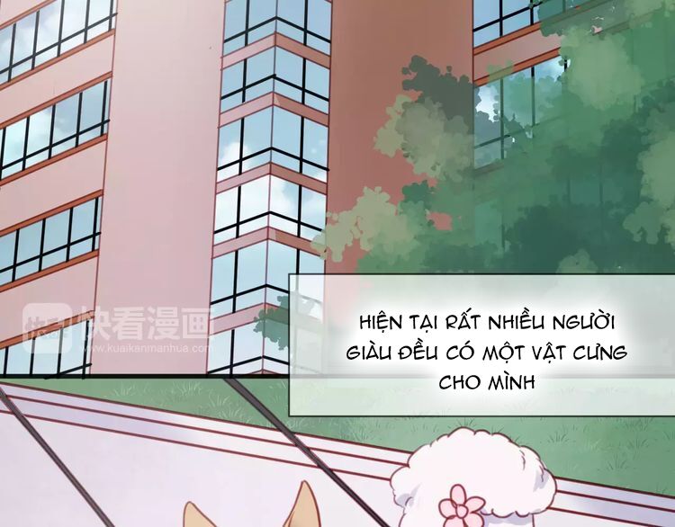 lượm được một tiểu hồ ly phần 1 chapter 78 2