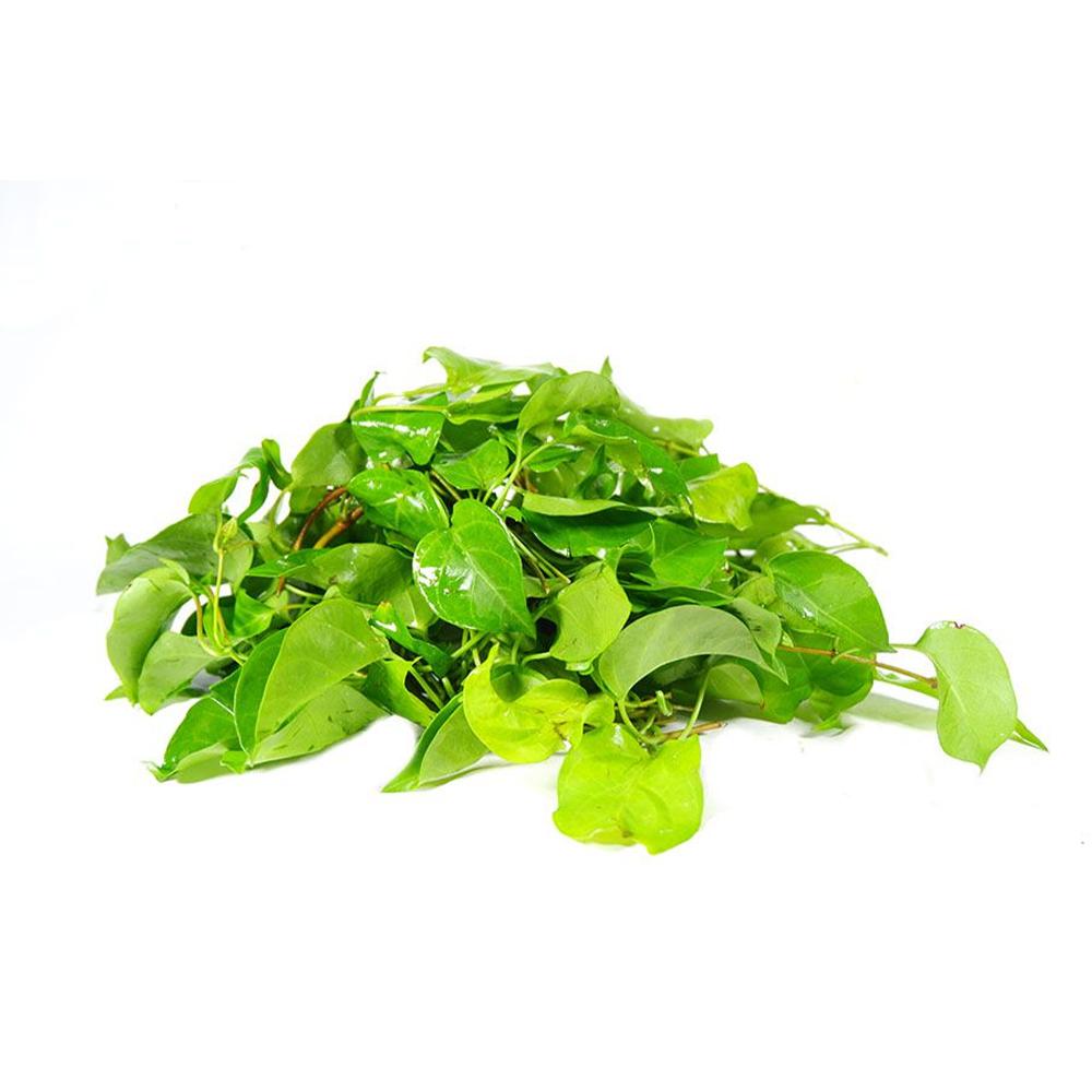 Hạt giống cây lá giang - gói 10 hạt