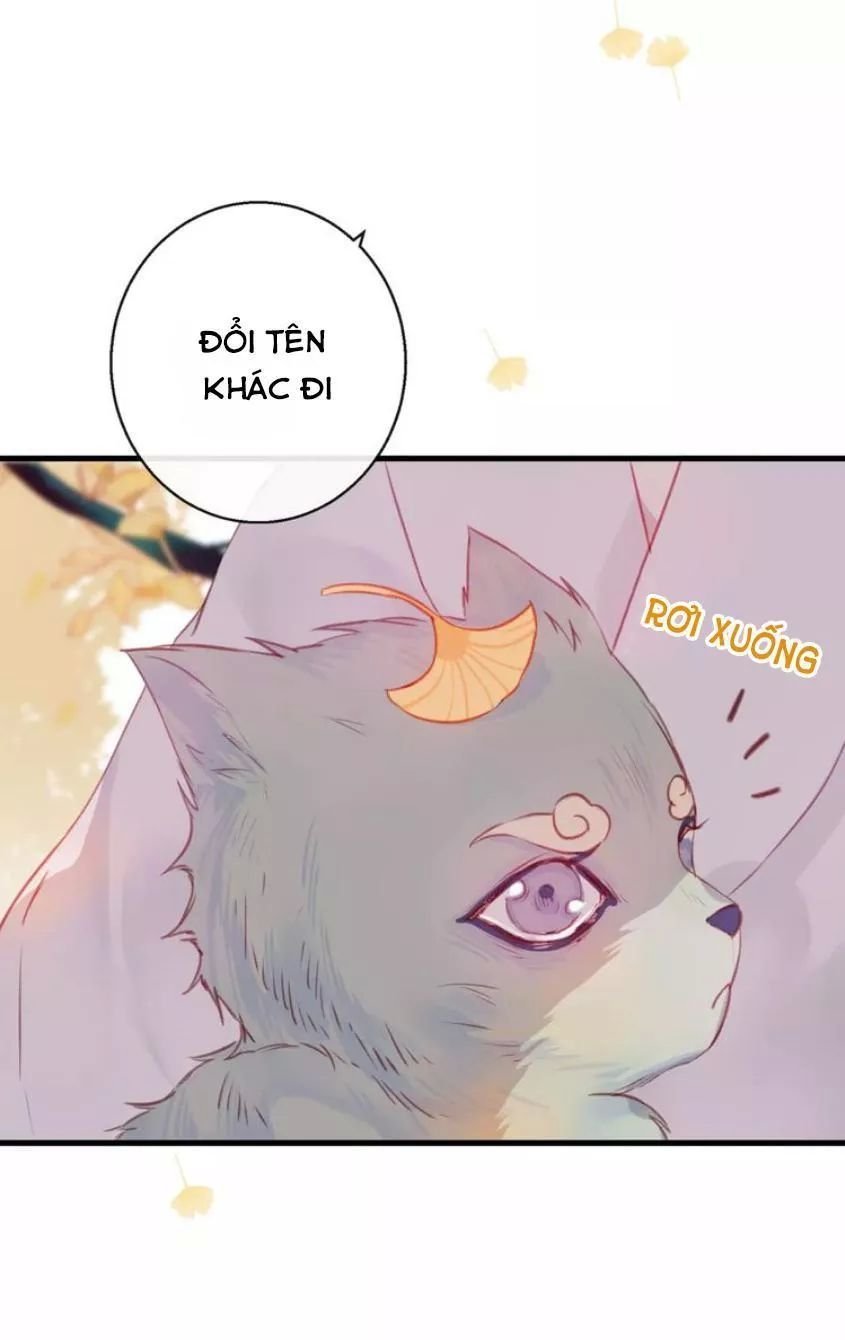 hồ minh chi hương chapter 9 42