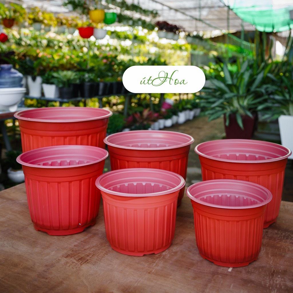 Chậu Nhựa Trồng Cây Hoa Siêu Bền