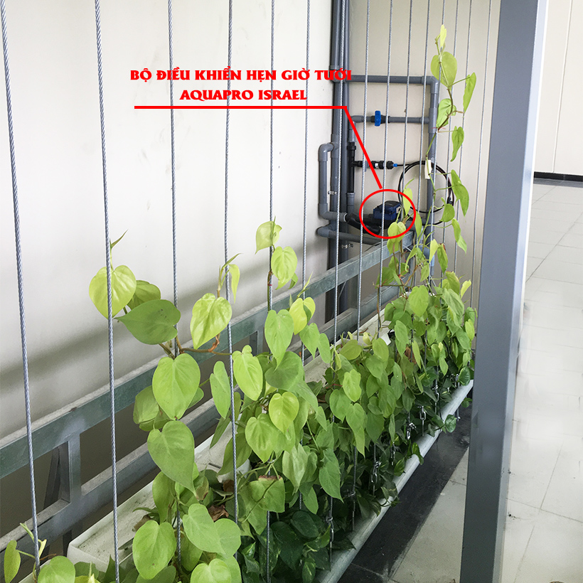 Bộ Hẹn Giờ Tưới Cây Tự Động nhập khẩu Israel dùng pin Hiệu Aquapro nhỏ gọn và tiết kiệm thời gian tưới hàng ngày