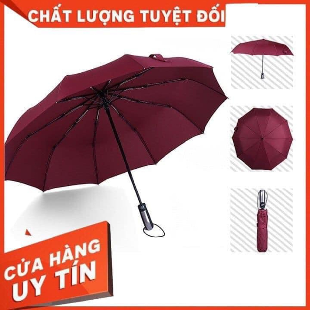 Ô TỰ ĐỘNG ĐÓNG MỞ 2 CHIỀU XUẤT NHẬT CÁN DÀI, 10 NAN