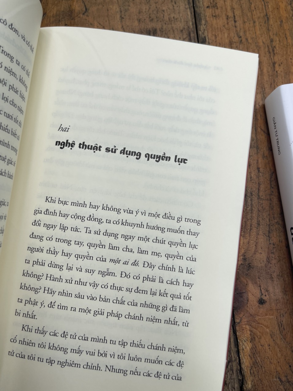 QUYỀN LỰC ĐÍCH THỰC – Thích Nhất Hạnh – Chân Đạt dịch – Phương Nam Book – NXB Thế Giới
