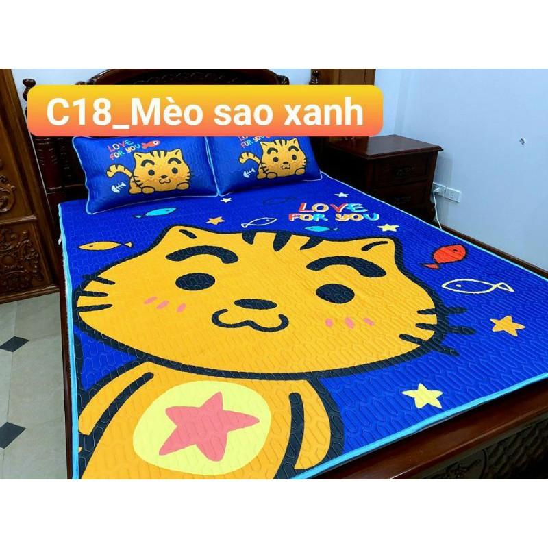 Chiếu Điều Hòa Cao Su Non 6D Hàng Loại 1 Cao Cấp