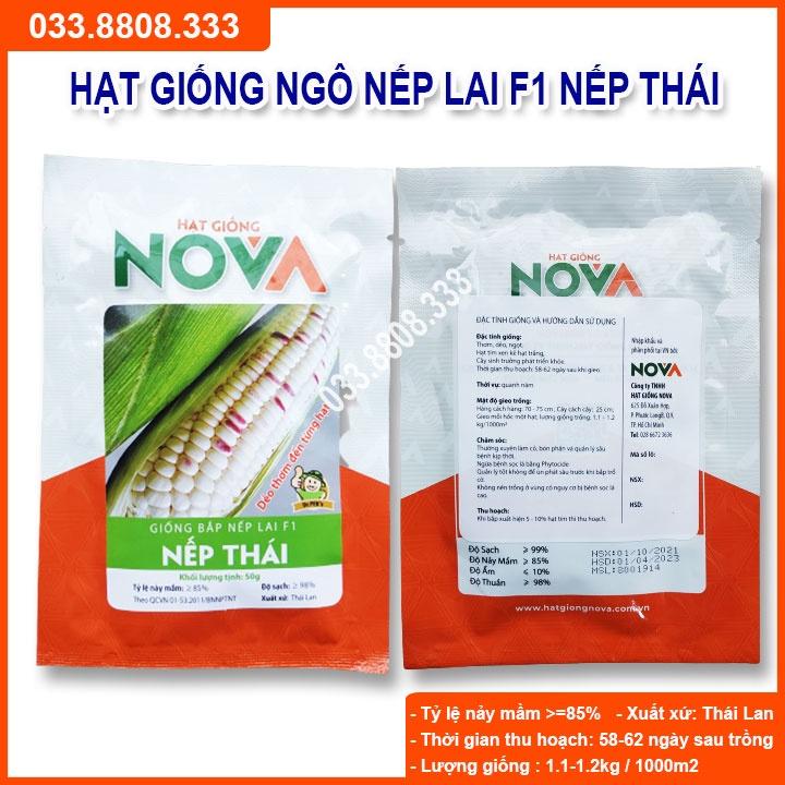 Hạt Giống Ngô Tím Trắng Nếp Lai Nova 100gram