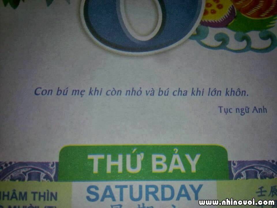 hình ảnh hài hước new chapter 26 6