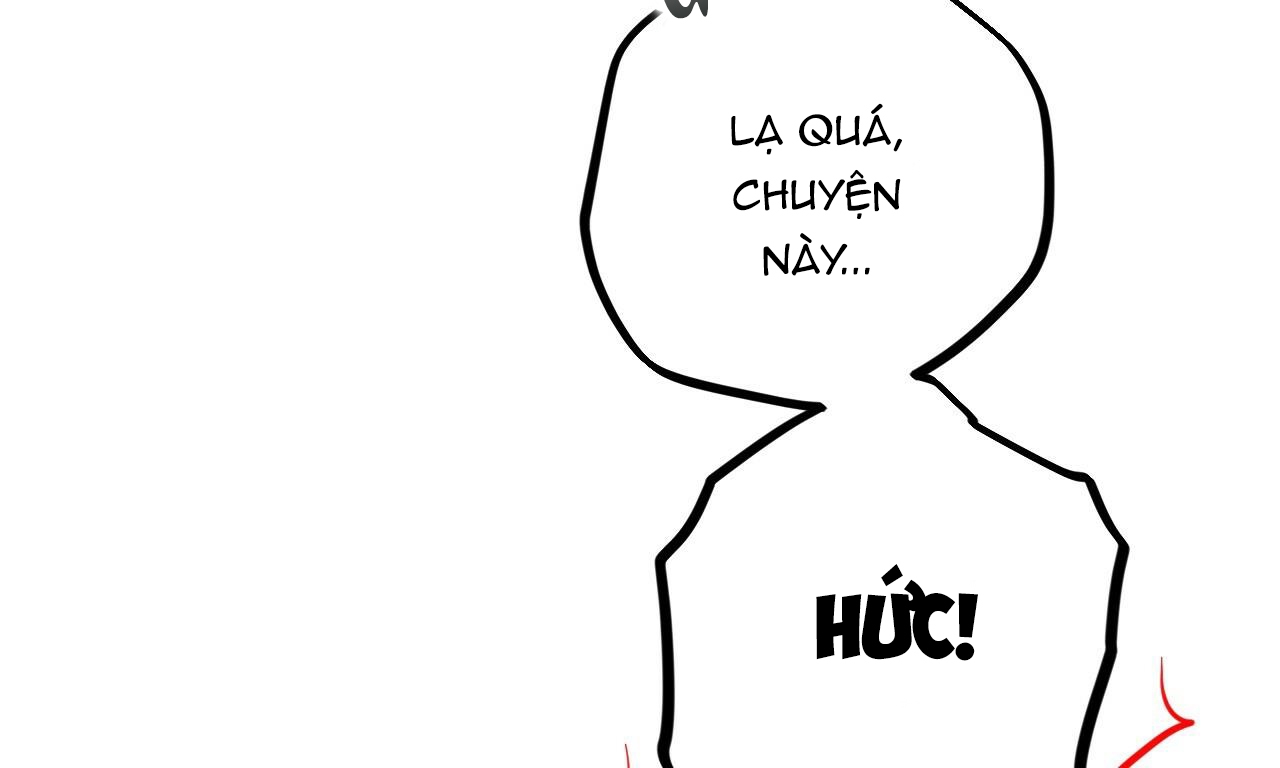 đàn thỏ của habibi chapter 38 86