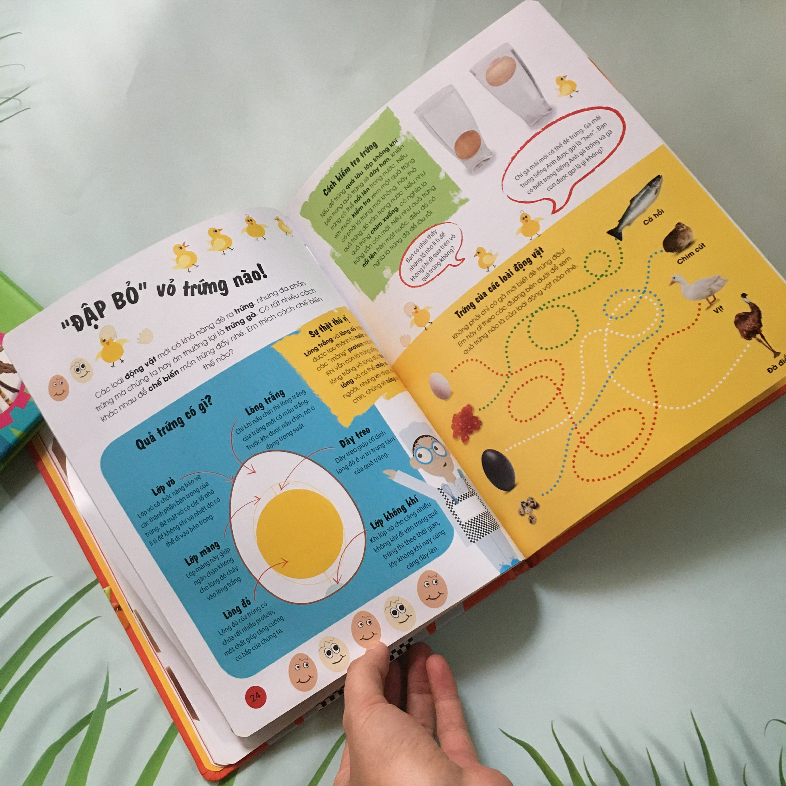 Look! - Tớ Là Đầu Bếp