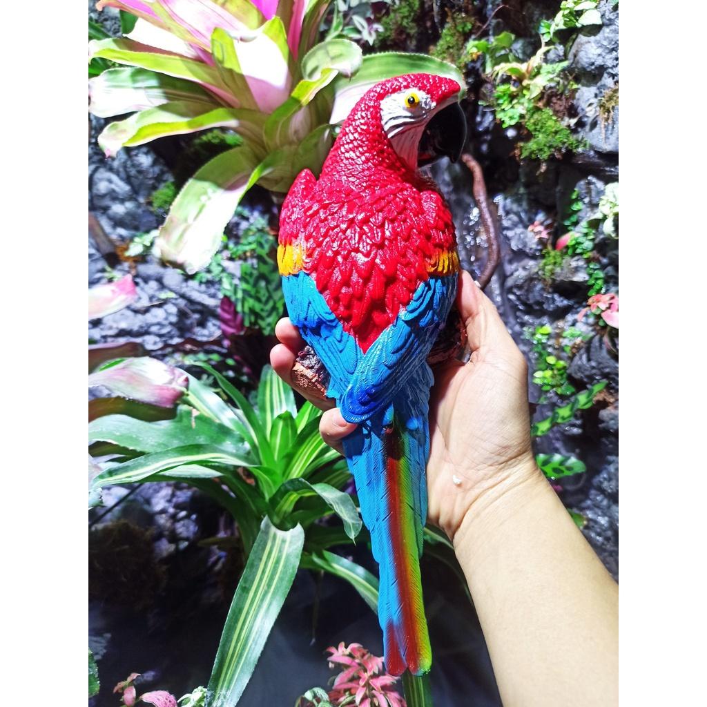 Mô hình chim vẹt - trang trí lũa bể cá- bán cạn, terrarium - mô hình trang trí tiểu cảnh-shopleo