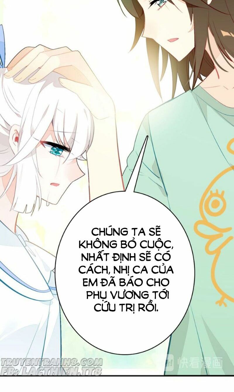 Ái Thượng Ngạo Kiều Long Vương Gia chapter 52 - Trang 19