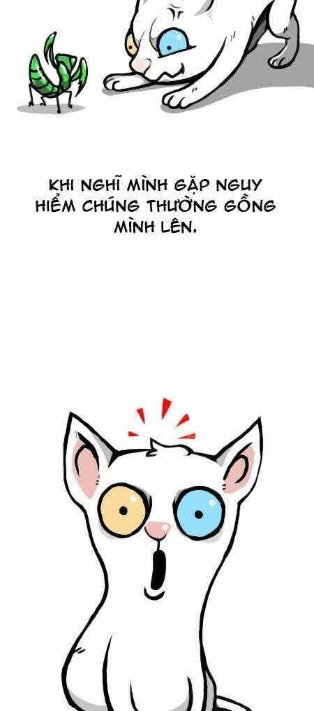 earth, human, and animal chapter 12 15