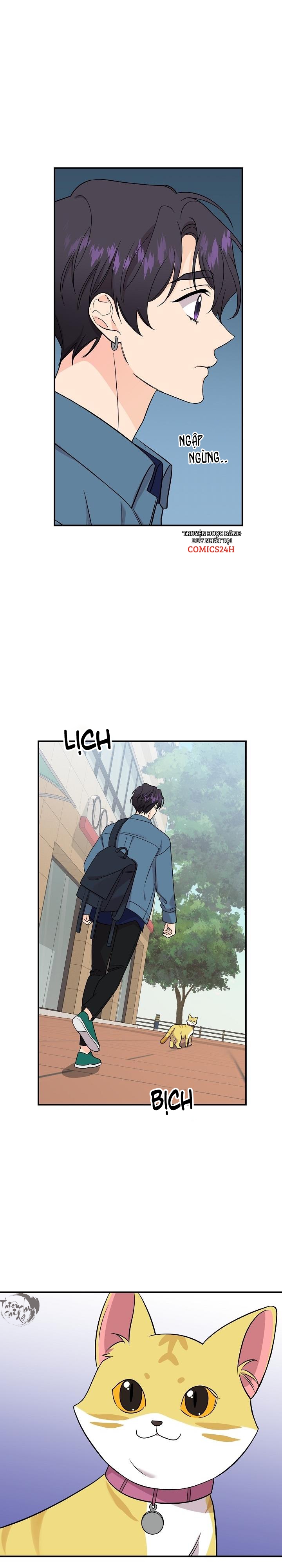 hoa ly hổ chapter 49 7