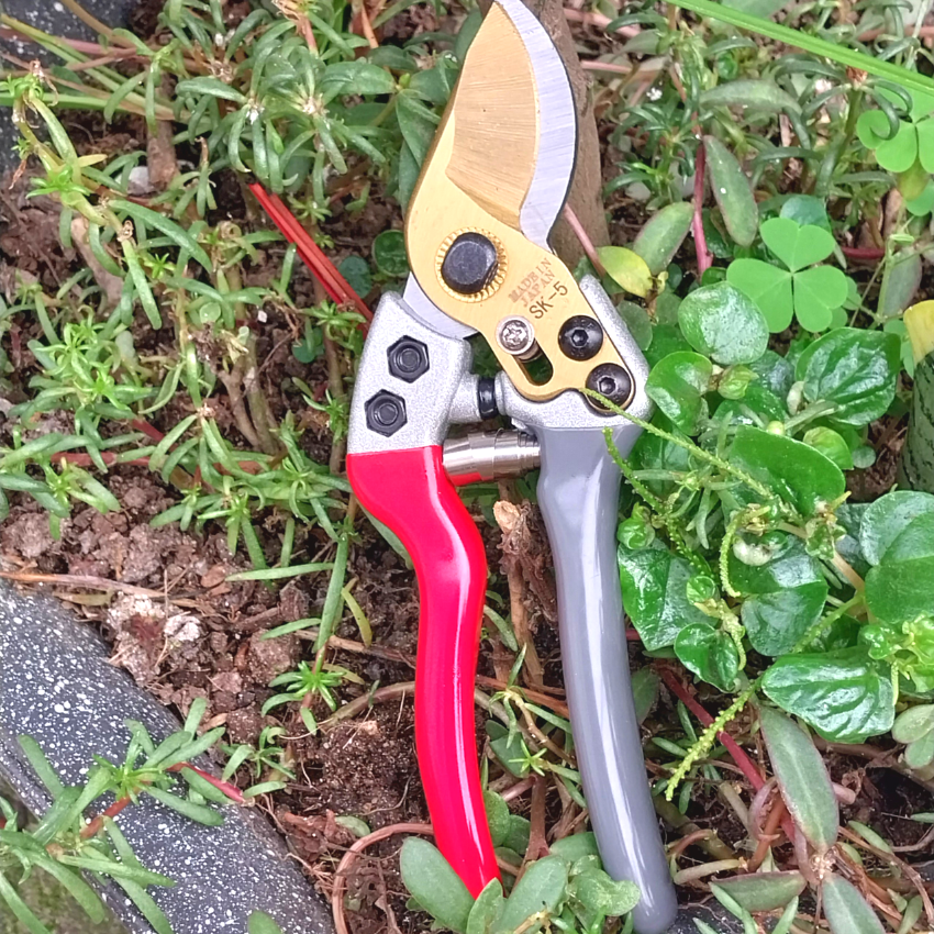 Kéo SK5 chuyên dụng cắt tỉa cành-cán bọc su chống trượt cao cấp. Mẫu mới nhất