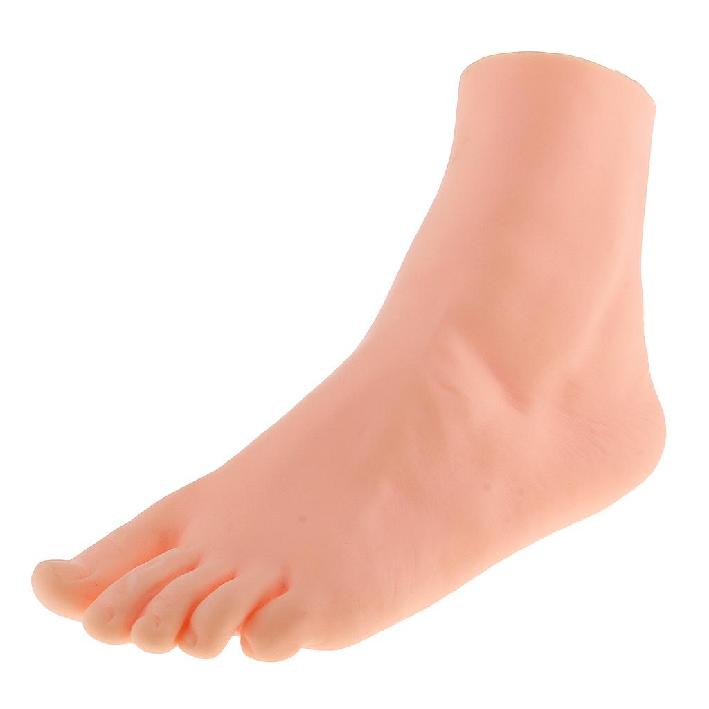 5x21.5cm Female Left Foot Mannequin Dummy Mould Sandal Shoe Sock Display Model