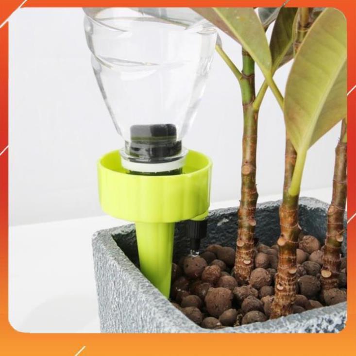 Set 12 que cắm tưới cây nhỏ giọt 208801-2