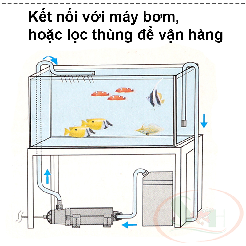 Đèn UV Atman 5W, 9W, 11W, 18W, 36W UV-Lamp diệt vi khuẩn tảo hại bể cá tép
