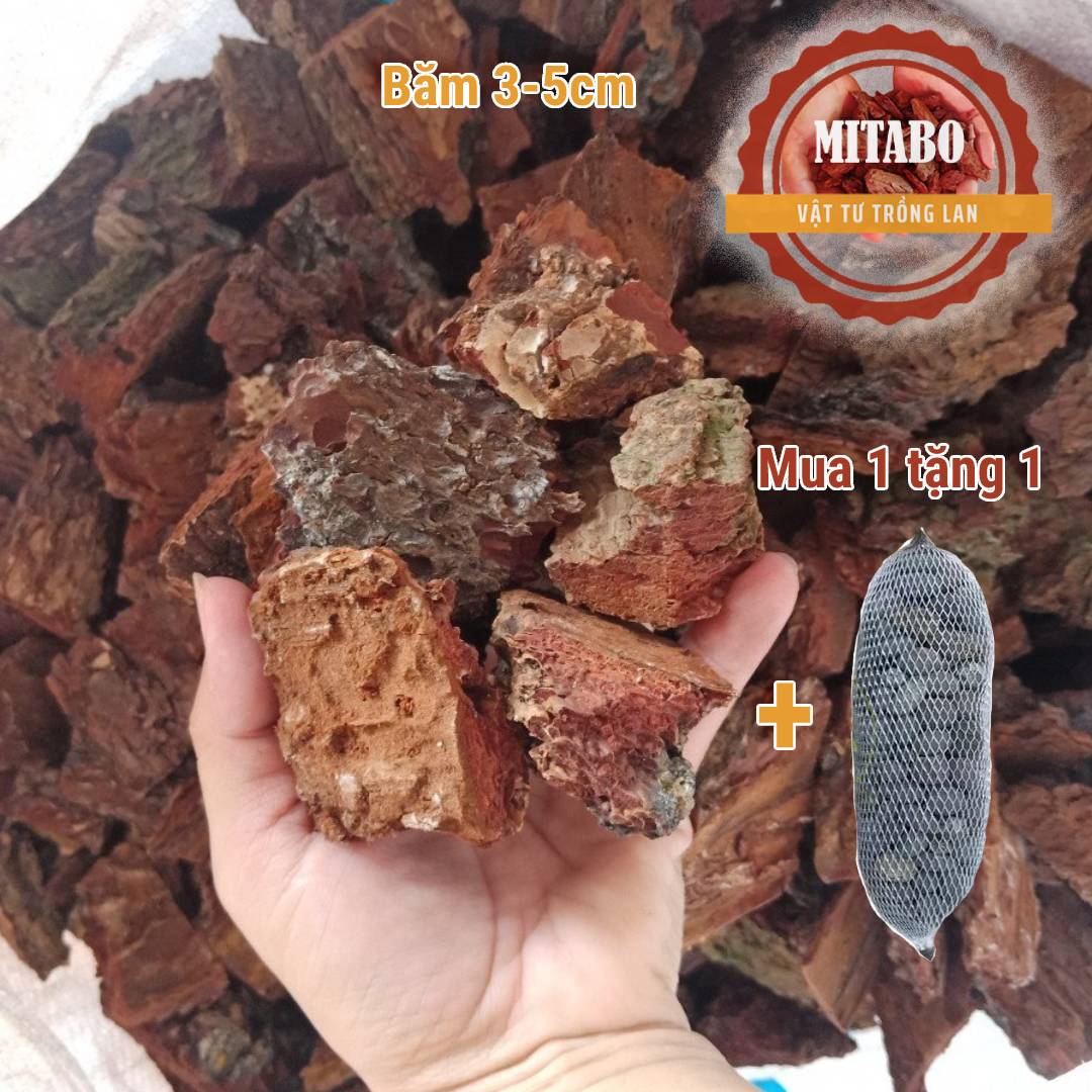 Vỏ thông băm 3-4cm