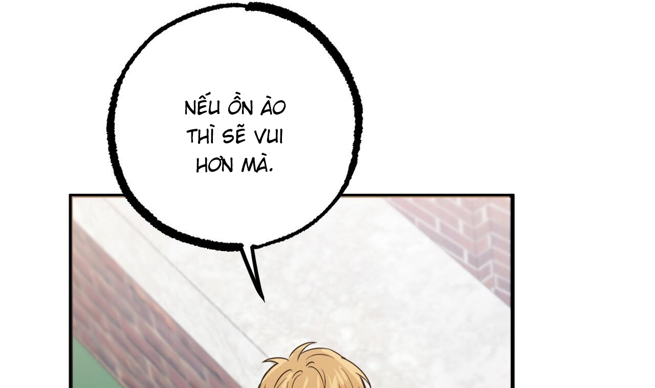 những chú thỏ của hapypy chapter 53 130