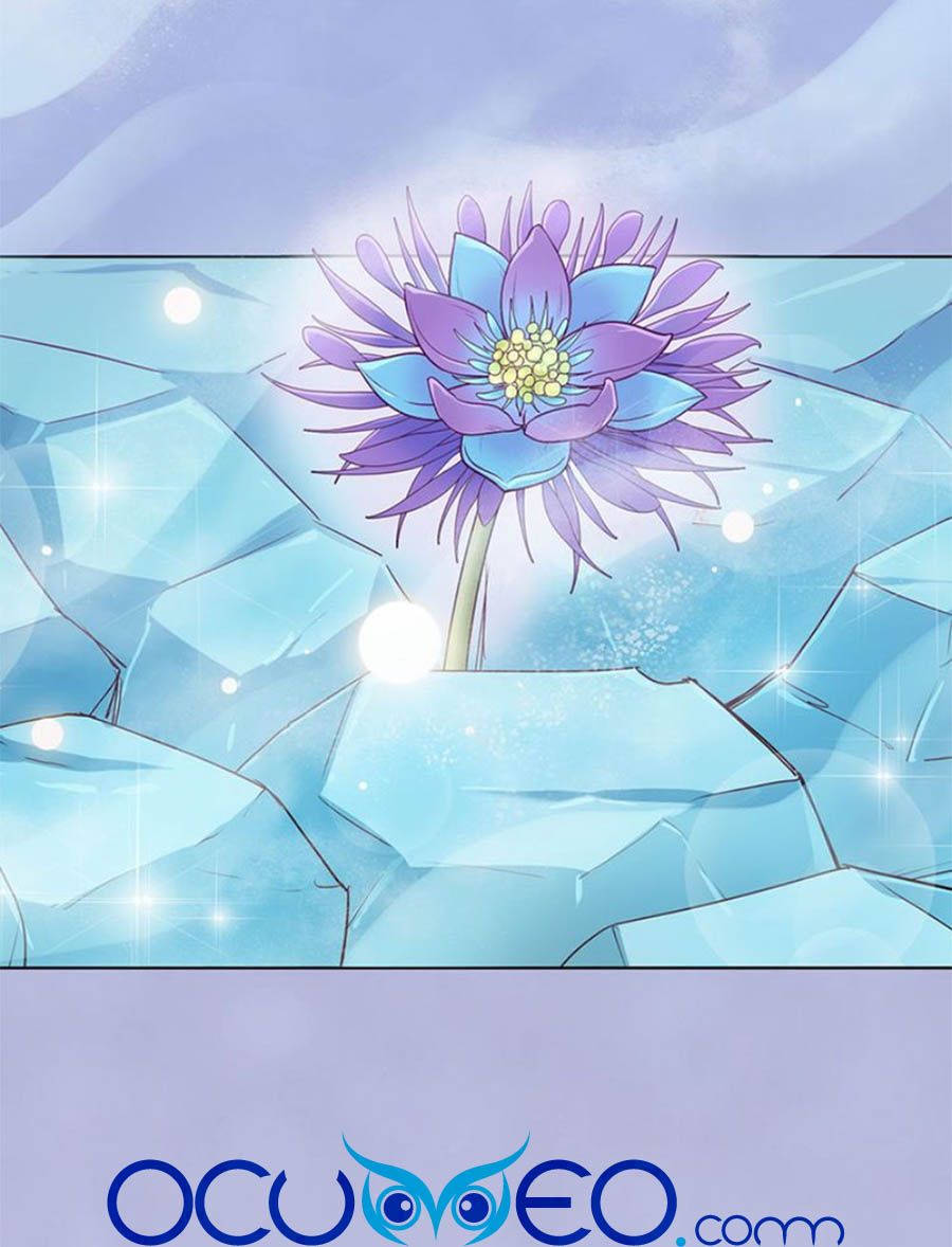 mỹ nhân già rồi chapter 62 15