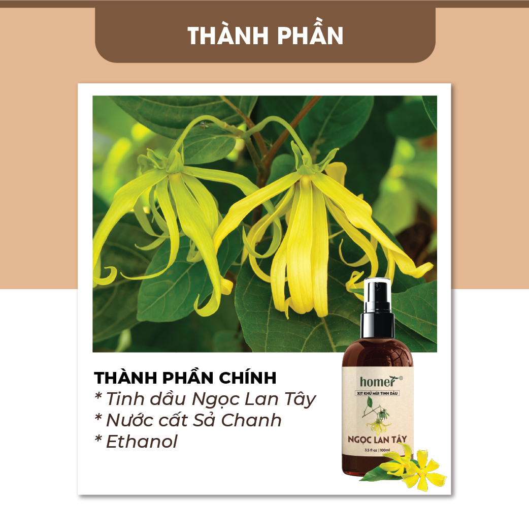 Tinh Dầu Ngọc Lan Tây Homer 100ML - Tinh Dầu Thiên Nhiên Nhập Khẩu Nguyên Chất Giúp Giảm Stress, Khử Khuẩn và Xua Đuổi Côn Trùng, Sử Dụng Hiệu Quả với Máy Xông Tinh Dầu