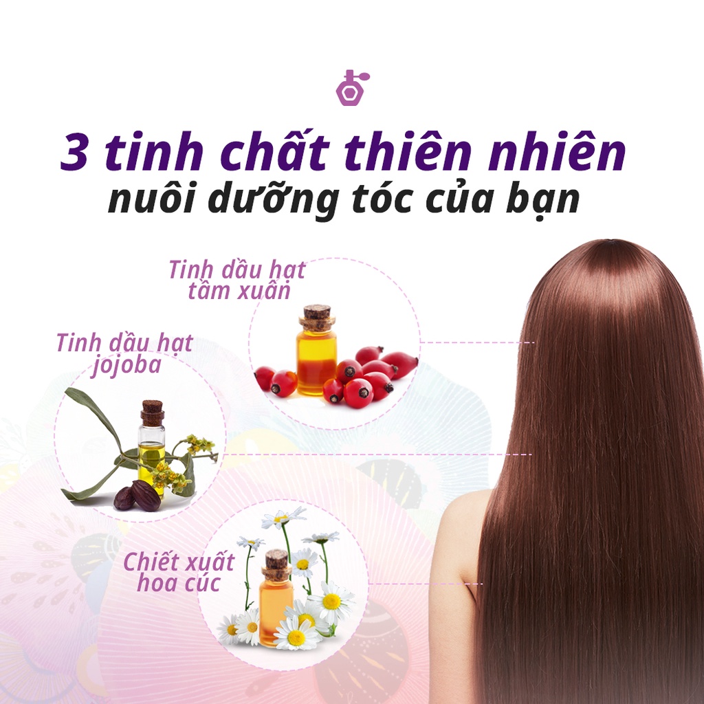 Dầu Gội Kerasys Elegance Amber Cao Cấp Hàn Quốc Hương Nước Hoa Hổ Phách 600ml