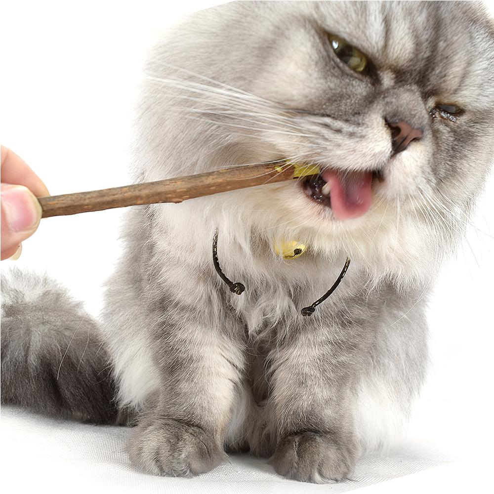 Thanh Gỗ Catnip Bạc Hà Cho Mèo Gặm Sạch Răng