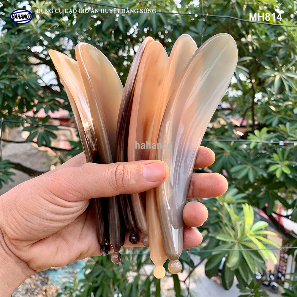 Dụng cụ cạo gió ấn huyệt chuyên dụng bằng sừng Vât dụng thiết yếu trong ngôi nhà của bạn