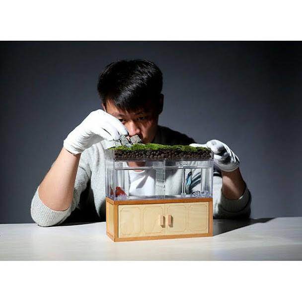 Bể cá mini thủy sinh trang trí bàn làm việc