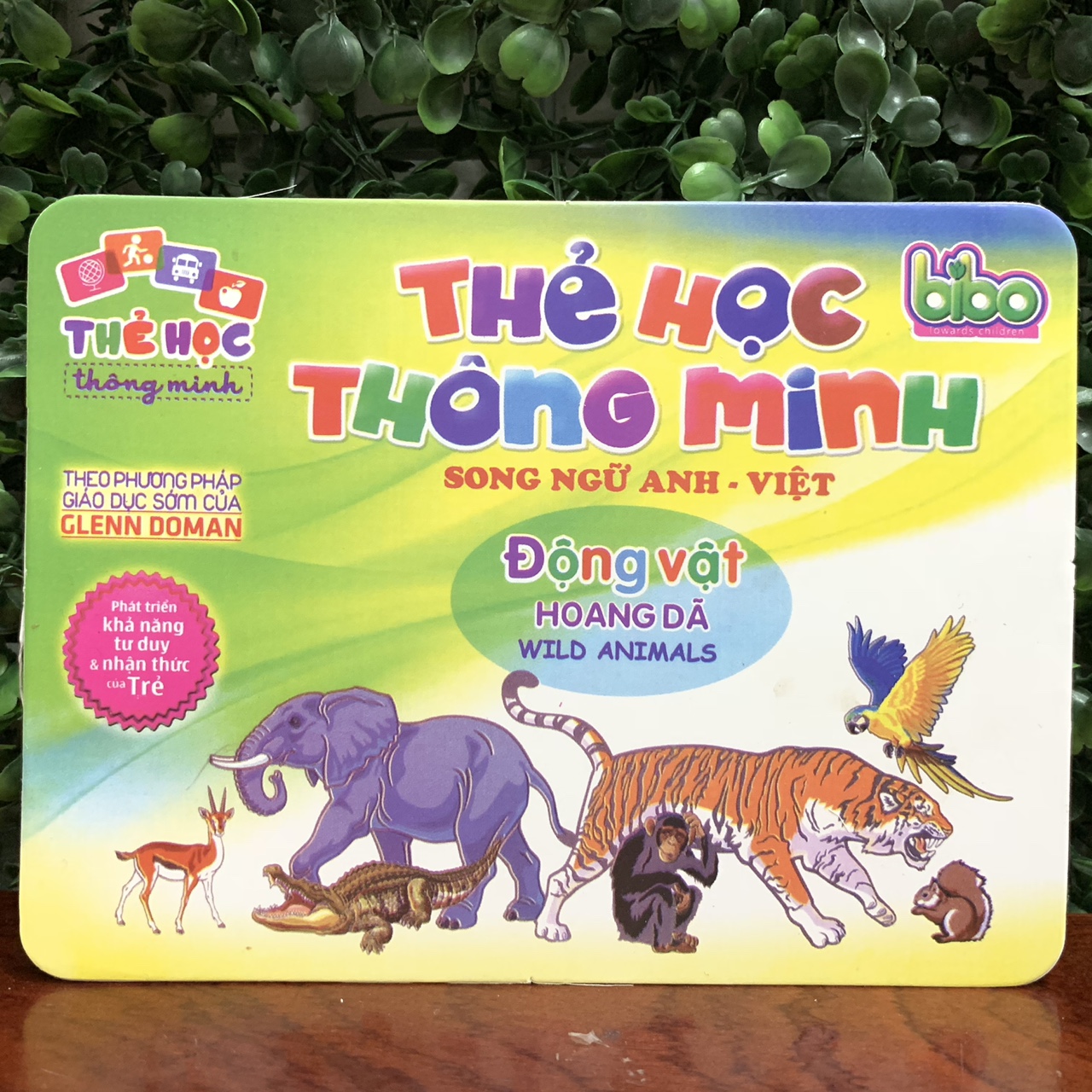 Bộ Thẻ Flashcards  Cho Bé Trọn Bộ 12 Chủ Đề Song Ngữ Anh-Việt BENRIKIDS-12CD