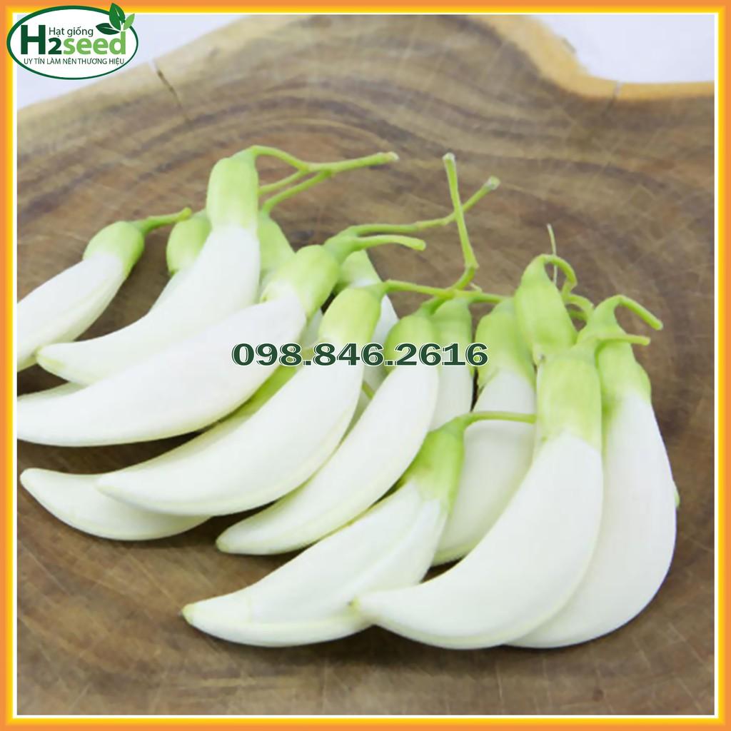 Hạt Giống So Đũa - Gói 100g - Hạt Giống Chất Lượng Cao - Dùng Làm Thực Phẩm - Bài Thuốc - Thức ăn chăn nuôi