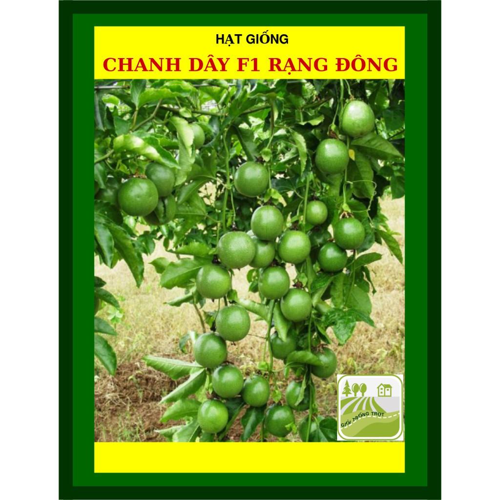 Hạt Giống Chanh Dây F1 Sai Trái 20 Hạt