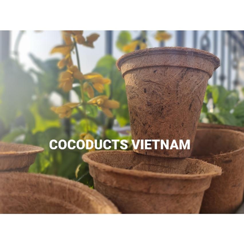 Chậu xơ dừa ép nhiệt Coir Pot
