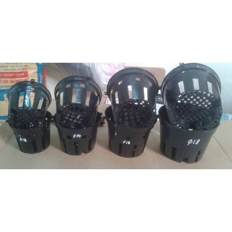 Set 20 chậu lan đen phi 16