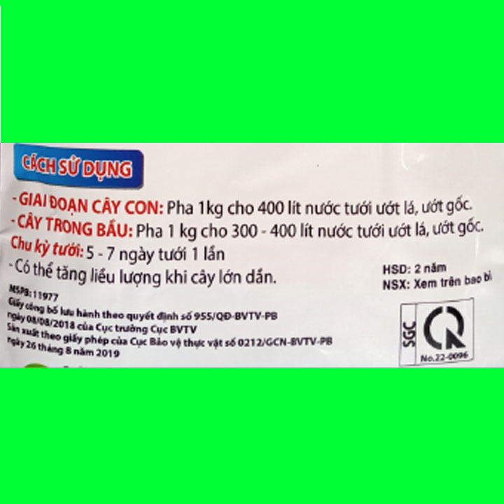 Siêu nở gốc USA, to củ, mập thân, ra rễ cực mạnh chuyên mai vàng gói 1kg