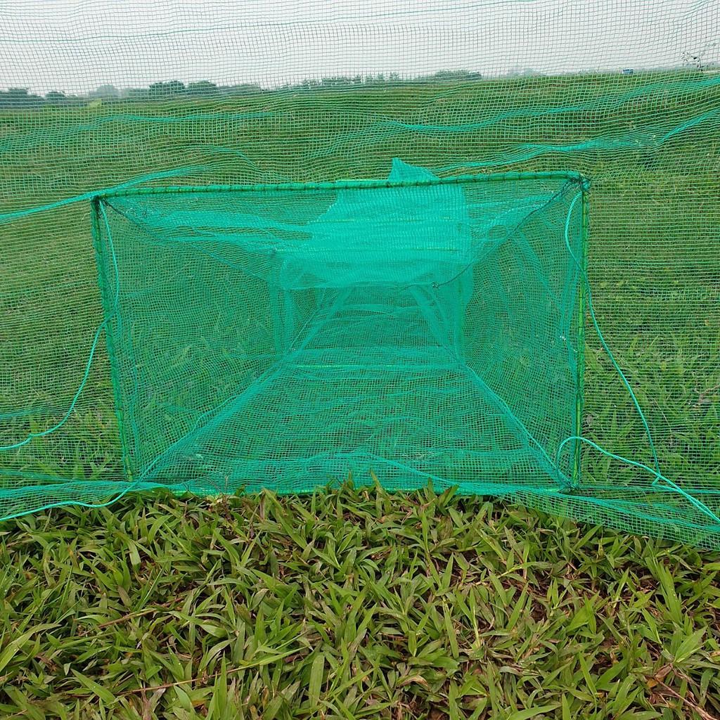 Đăng chặn sông, cống - bắt tôm tép tất cả các loại cá - Dớn bắt cá, cua, lươn.